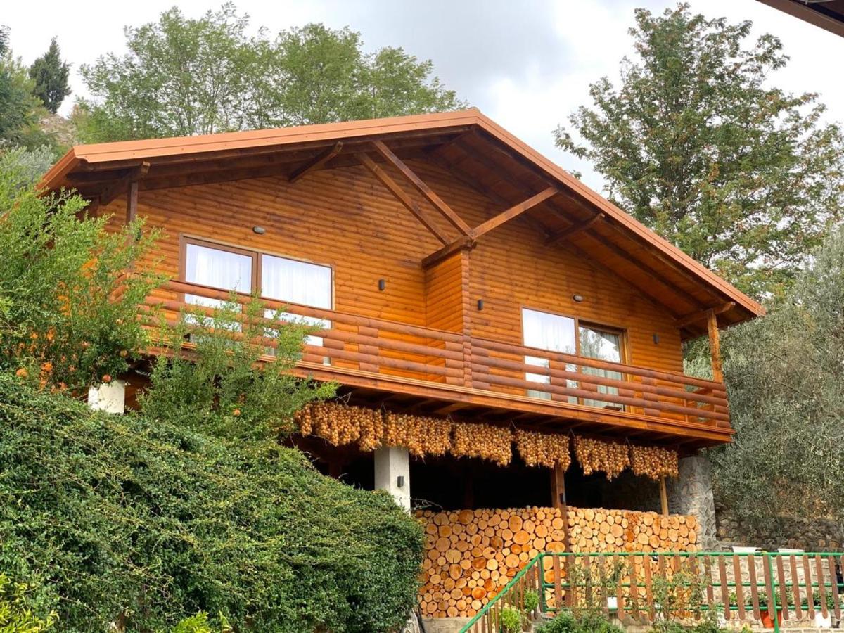 فندق Wooden House شكودر المظهر الخارجي الصورة